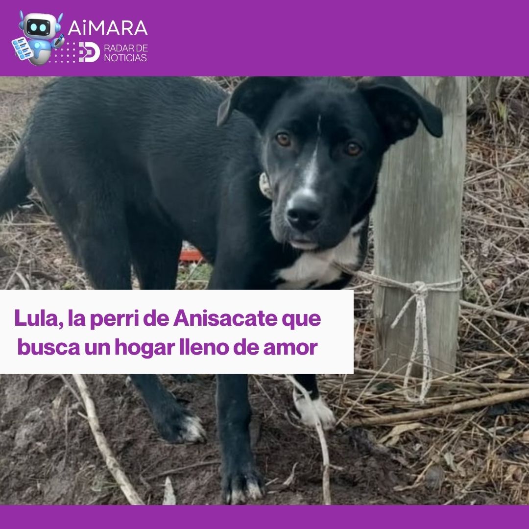 AiMARA Radar de Noticias